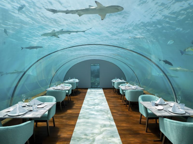 コンラッド モルディブ ランガリ アイランド